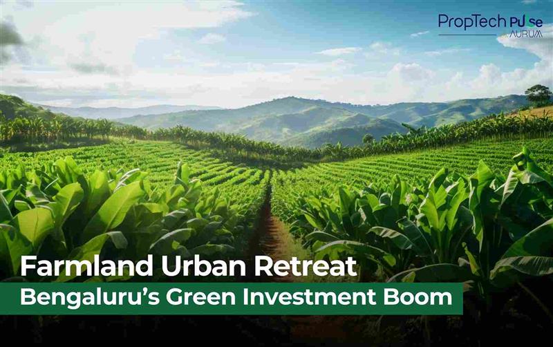 https://d1smx9vz40s2y3.cloudfront.net/media/banner_image/1749287950569-bengaluru-farmland-demand-investment-retreat-ramanagara.jpg