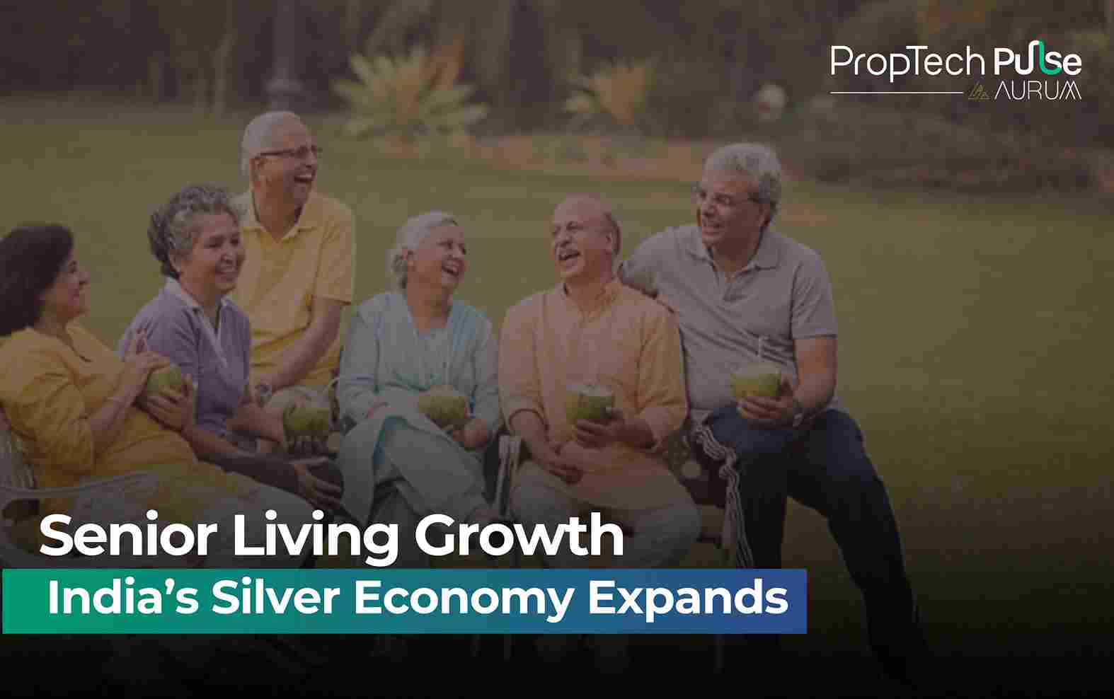 India's Silver Economy